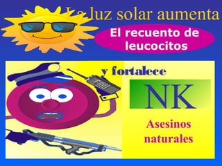 La luz solar aumenta
El recuento de
leucocitos
y fortalece
NK
Asesinos
naturales
 