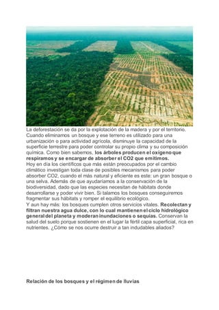 La deforestación se da por la explotación de la madera y por el territorio.
Cuando eliminamos un bosque y ese terreno es utilizado para una
urbanización o para actividad agrícola, disminuye la capacidad de la
superficie terrestre para poder controlar su propio clima y su composición
química. Como bien sabemos, los árboles producen el oxígeno que
respiramos y se encargar de absorber el CO2 que emitimos.
Hoy en día los científicos que más están preocupados por el cambio
climático investigan toda clase de posibles mecanismos para poder
absorber CO2, cuando el más natural y eficiente es este: un gran bosque o
una selva. Además de que ayudaríamos a la conservación de la
biodiversidad, dado que las especies necesitan de hábitats donde
desarrollarse y poder vivir bien. Si talamos los bosques conseguiremos
fragmentar sus hábitats y romper el equilibrio ecológico.
Y aun hay más: los bosques cumplen otros servicios vitales. Recolectan y
filtran nuestra agua dulce, con lo cual mantienen el ciclo hidrológico
general del planeta y moderan inundaciones o sequías. Conservan la
salud del suelo porque sostienen en el lugar la fértil capa superficial, rica en
nutrientes. ¿Cómo se nos ocurre destruir a tan indudables aliados?
Relación de los bosques y el régimen de lluvias
 