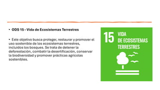 • ODS 15 - Vida de Ecosistemas Terrestres
• Este objetivo busca proteger, restaurar y promover el
uso sostenible de los ecosistemas terrestres,
incluidos los bosques. Se trata de detener la
deforestación, combatir la desertificación, conservar
la biodiversidad y promover prácticas agrícolas
sostenibles.
 