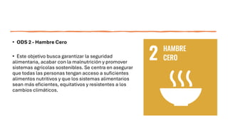 • ODS 2 - Hambre Cero
• Este objetivo busca garantizar la seguridad
alimentaria, acabar con la malnutrición y promover
sistemas agrícolas sostenibles. Se centra en asegurar
que todas las personas tengan acceso a suficientes
alimentos nutritivos y que los sistemas alimentarios
sean más eficientes, equitativos y resistentes a los
cambios climáticos.
 