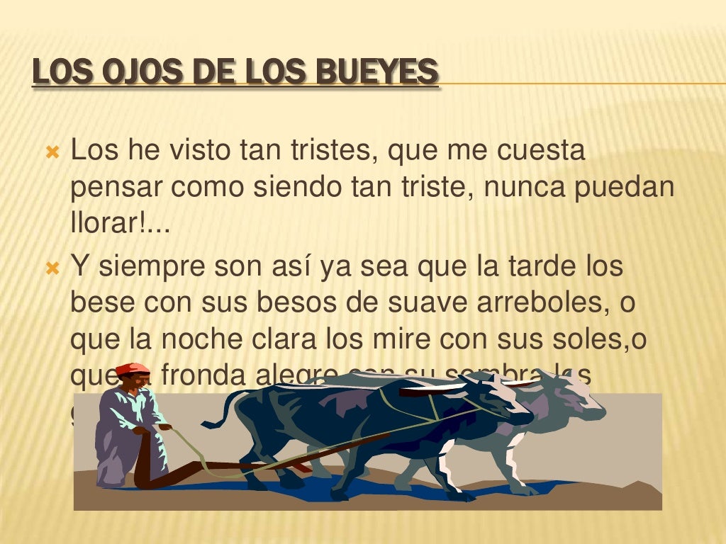 Los Ojos De Los Bueyes