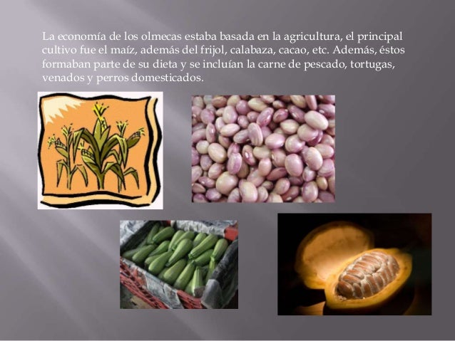 Los olmecas