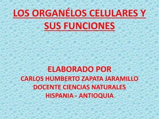LOS ORGANÉLOS CELULARES Y
SUS FUNCIONES
ELABORADO POR
CARLOS HUMBERTO ZAPATA JARAMILLO
DOCENTE CIENCIAS NATURALES
HISPANIA - ANTIOQUIA
 
