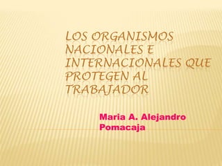 LOS ORGANISMOS
NACIONALES E
INTERNACIONALES QUE
PROTEGEN AL
TRABAJADOR

    Maria A. Alejandro
    Pomacaja
 