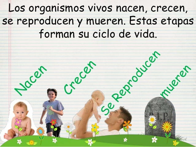 Resultado de imagen de LOS HUMANOS SOMOS SERRES VIVOS