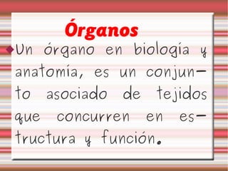 Órganos
Un    órgano en biología y
 anatomía, es un conjun-
 to    asociado   de    tejidos
 que    concurren      en   es-
 tructura y función.
 