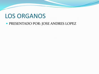 LOS ORGANOS
 PRESENTADO POR: JOSE ANDRES LOPEZ
 
