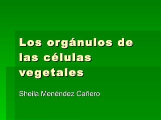 Los orgánulos de las células vegetales Sheila Menéndez Cañero 