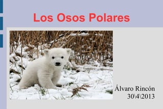 Los Osos Polares
Álvaro Rincón
3042013
 