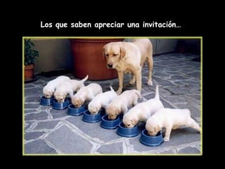 Los que saben apreciar una invitación…
 