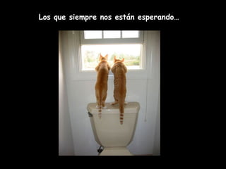 Los que siempre nos están esperando…
 