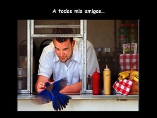A todos mis amigos…
 