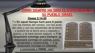 Oseas 2:14-20
“18 En aquel tiempo haré para ti pacto
con las bestias del campo, con las aves
del cielo y con las serpientes de la tierra;
y quitaré de la tierra arco y espada y
guerra, y te haré dormir segura. 19 Y te
desposaré conmigo para siempre; te
desposaré conmigo en justicia, juicio,
benignidad y misericordia. 20 Y te
desposaré conmigo en fidelidad,
y conocerás a YHVH ‫יהוה‬. "
YHWH SIEMPRE HA SIDO EL ESPOSO FIEL DE
SU PUEBLO ISRAEL
 