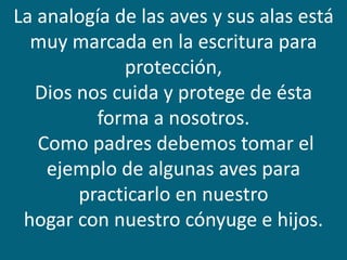 La analogía de las aves y sus alas está
muy marcada en la escritura para
protección,
Dios nos cuida y protege de ésta
forma a nosotros.
Como padres debemos tomar el
ejemplo de algunas aves para
practicarlo en nuestro
hogar con nuestro cónyuge e hijos.
 
