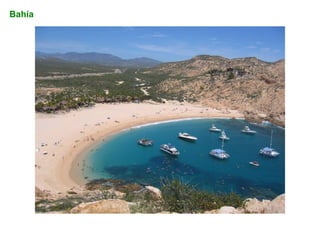 Bahía
 