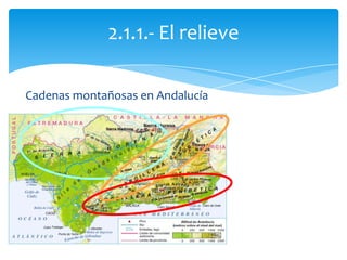Cadenas montañosas en Andalucía
2.1.1.- El relieve
 