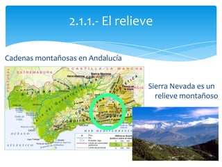Cadenas montañosas en Andalucía
Sierra Nevada es un
relieve montañoso
2.1.1.- El relieve
 