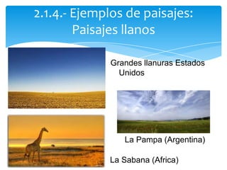 Grandes llanuras Estados
Unidos
La Pampa (Argentina)
La Sabana (Africa)
2.1.4.- Ejemplos de paisajes:
Paisajes llanos
 