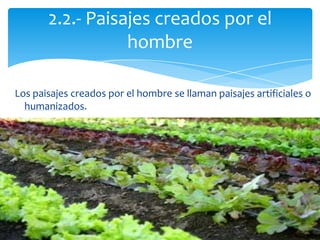 Los paisajes creados por el hombre se llaman paisajes artificiales o
humanizados.
2.2.- Paisajes creados por el
hombre
 