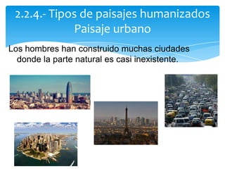 Los hombres han construido muchas ciudades
donde la parte natural es casi inexistente.
2.2.4.- Tipos de paisajes humanizados
Paisaje urbano
 