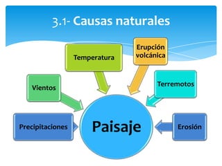 3.1- Causas naturales
PaisajePrecipitaciones
Vientos
Temperatura
Erupción
volcánica
Terremotos
Erosión
 