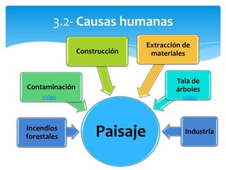 3.2- Causas humanas
PaisajeIncendios
forestales
Contaminación
Construcción
Extracción de
materiales
Tala de
árboles
Industria
vídeo vídeo
 