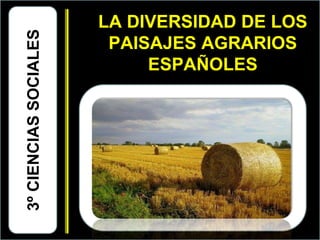LA DIVERSIDAD DE LOS
PAISAJES AGRARIOS
ESPAÑOLES
3ºCIENCIASSOCIALES
 