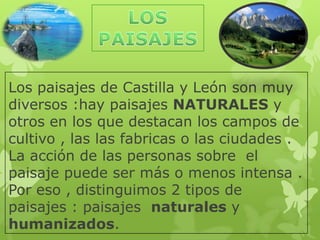 Los paisajes de Castilla y León son muy
diversos :hay paisajes NATURALES y
otros en los que destacan los campos de
cultivo , las las fabricas o las ciudades .
La acción de las personas sobre el
paisaje puede ser más o menos intensa .
Por eso , distinguimos 2 tipos de
paisajes : paisajes naturales y
humanizados.
 