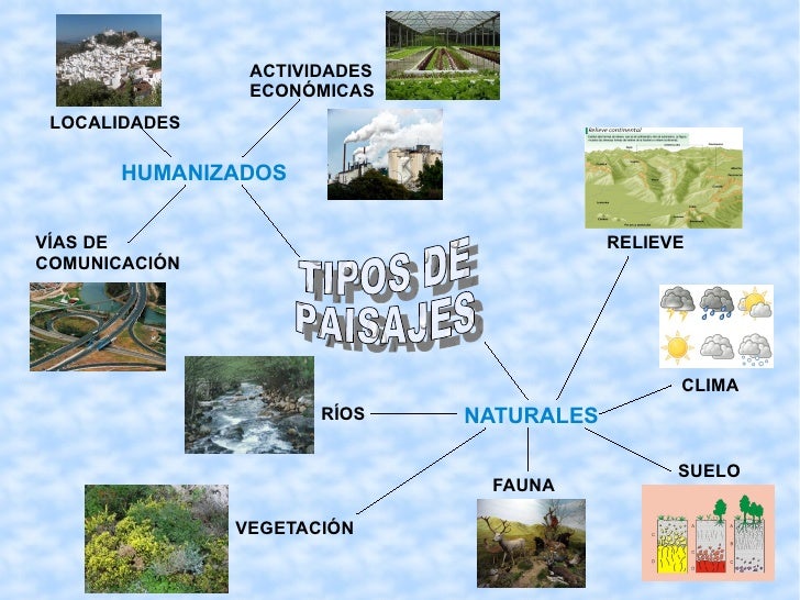 Resultado de imagen de tipos de paisajes 5º