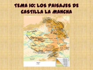 TEMA 10: LOS PAISAJES DE CASTILLA LA MANCHA 