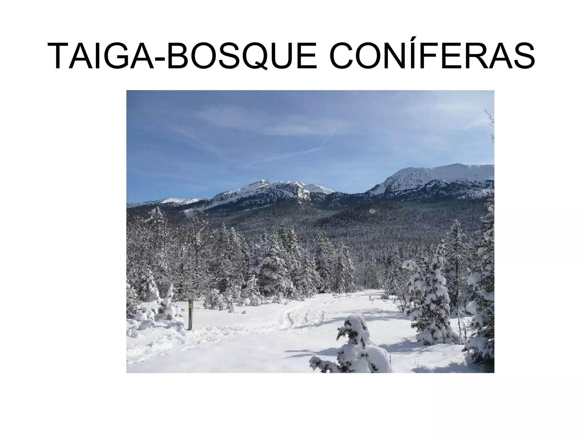 Los paisajes de las zonas climáticas de la tierra | PPT