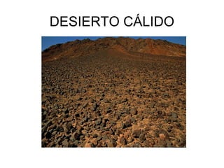 Los paisajes de las zonas climáticas de la tierra | PPT