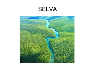 Los paisajes de las zonas climáticas de la tierra | PPT