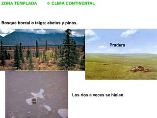 Los paisajes de la tierra tema 5 | PDF