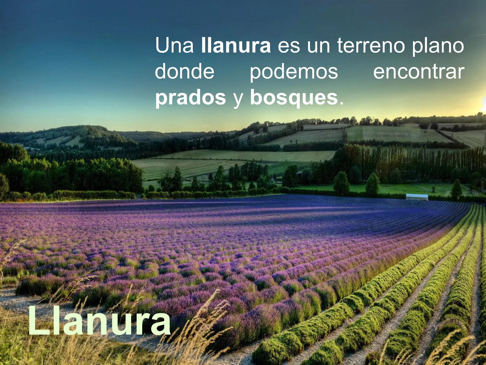 Llanura
Una llanura es un terreno plano
donde podemos encontrar
prados y bosques.
 