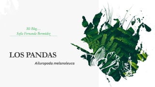 LOS PANDAS
Mi Blog…
Sofía Fernanda Bermúdez
Ailuropoda melanoleuca
 