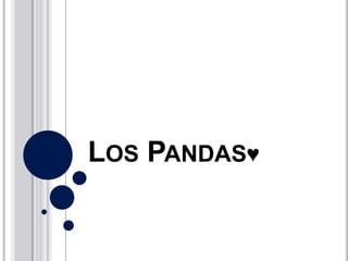 LOS PANDAS♥

 