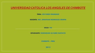 UNIVERSIDAD CATOLICA LOS ANGELES DE CHIMBOTE
TEMA: LOS PARES CRANEALES
DOCENTE: ING. JONATHAN RODRIGUEZ CRISPIN
CICLO: VIII
ESTUDIANTE: DOMINGUEZ ALVAREZ GUSTAVO
CHIMBOTE – PERU
2015
 