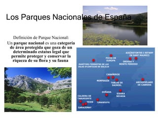 Los Parques Nacionales de España Definición de Parque Nacional: Un  parque nacional  es una  categoría de área protegida que goza de un   determinado estatus legal que permite proteger y conservar la riqueza de su flora y su fauna  