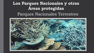 Los Parques Nacionales y otras 
Áreas protegidas 
Parques Nacionales Terrestres 
 
