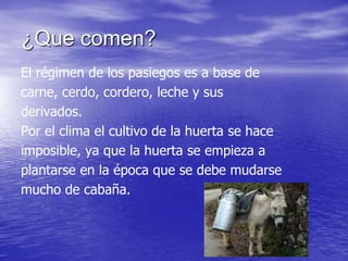 ¿Que comen?
El régimen de los pasiegos es a base de
carne, cerdo, cordero, leche y sus
derivados.
Por el clima el cultivo de la huerta se hace
imposible, ya que la huerta se empieza a
plantarse en la época que se debe mudarse
mucho de cabaña.