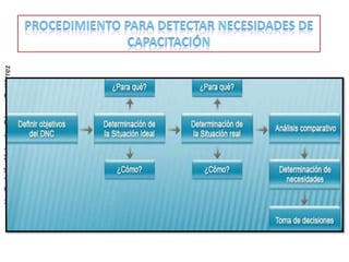 Lic. Rodolfo Alejandro Gómez Gutiérrez
 