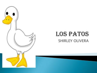 LOS PATOS  SHIRLEY OLIVERA  