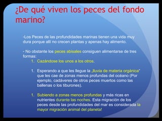 ¿De qué viven los peces del fondo
marino?
-Los Peces de las profundidades marinas tienen una vida muy
dura porque allí no crecen plantas y apenas hay alimento.
- No obstante los peces abisales consiguen alimentarse de tres
formas:
1. Cazándose los unos a los otros.
1. Esperando a que les llegue la „lluvia de materia orgánica“
que les cae de zonas menos profundas del océano (Por
ejemplo, cadáveres de otros peces muertos como las
ballenas o los tiburones).
1. Subiendo a zonas menos profundas y más ricas en
nutrientes durante las noches. Esta migración de los
peces desde las profundidades del mar es considerada la
mayor migración animal del planeta!
 