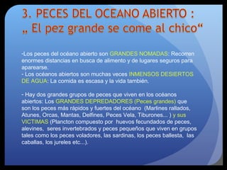 -Los peces del océano abierto son GRANDES NOMADAS: Recorren
enormes distancias en busca de alimento y de lugares seguros para
aparearse.
- Los océanos abiertos son muchas veces INMENSOS DESIERTOS
DE AGUA: La comida es escasa y la vida también.
- Hay dos grandes grupos de peces que viven en los océanos
abiertos: Los GRANDES DEPREDADORES (Peces grandes) que
son los peces más rápidos y fuertes del océano (Marlines rallados,
Atunes, Orcas, Mantas, Delfines, Peces Vela, Tiburones... ) y sus
VICTIMAS (Plancton compuesto por huevos fecundados de peces,
alevines, seres invertebrados y peces pequeños que viven en grupos
tales como los peces voladores, las sardinas, los peces ballesta, las
caballas, los jureles etc...).
 