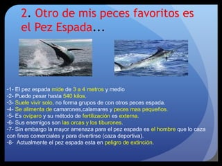 2. Otro de mis peces favoritos es
el Pez Espada...
-1- El pez espada mide de 3 a 4 metros y medio
-2- Puede pesar hasta 540 kilos.
-3- Suele vivir solo, no forma grupos de con otros peces espada.
-4- Se alimenta de camarones,calamares y peces mas pequeños.
-5- Es ovíparo y su método de fertilización es externa.
-6- Sus enemigos son las orcas y los tiburones.
-7- Sin embargo la mayor amenaza para el pez espada es el hombre que lo caza
con fines comerciales y para divertirse (caza deportiva).
-8- Actualmente el pez espada esta en peligro de extinción.
 