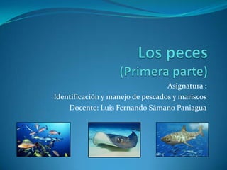 Asignatura :
Identificación y manejo de pescados y mariscos
    Docente: Luis Fernando Sámano Paniagua
 