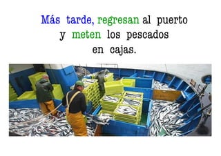Más tarde, regresan al puerto
y meten los pescados
en cajas.
 