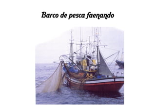 Barco de pesca faenando
 