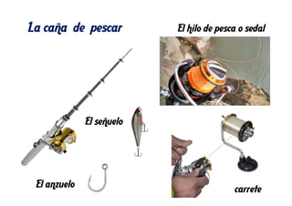 La caña de pescar
carrete
El hilo de pesca o sedal
El anzuelo
El señuelo
 